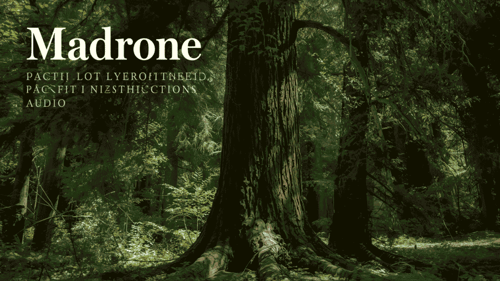 madrone in lushootseed pronunciation audio