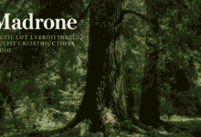 madrone in lushootseed pronunciation audio