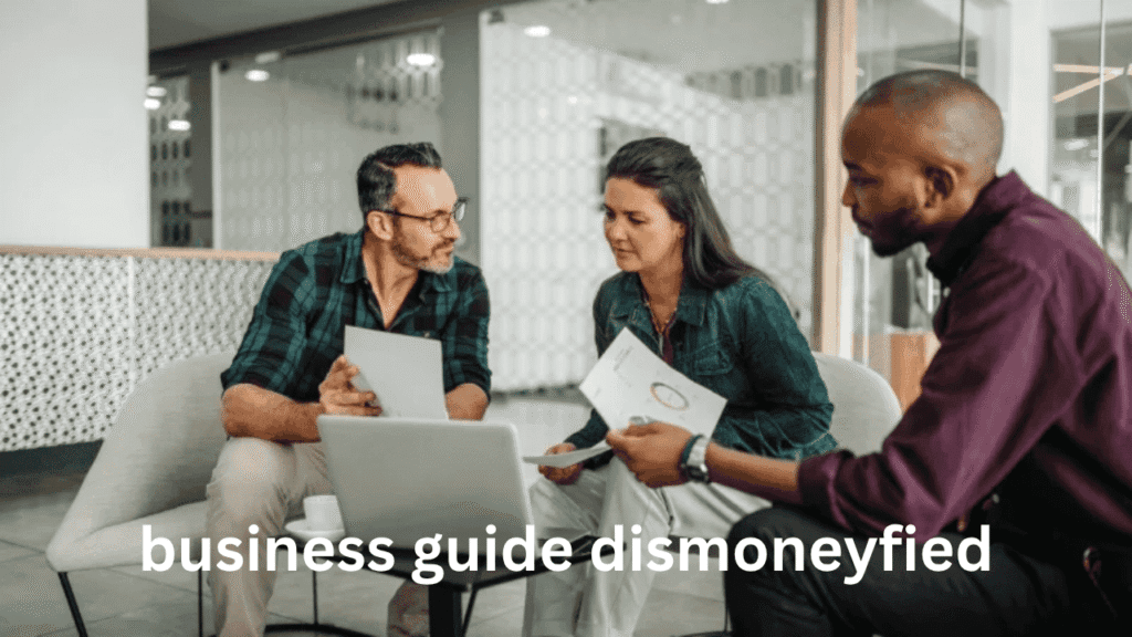business guide dismoneyfied