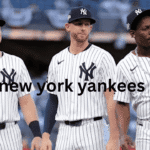 new york yankees