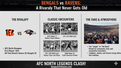 bengals vs ravens