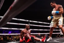 Holyfield vs Belfort